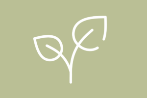 Self-Care Course Bundle